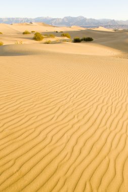 soba borusu, kum tepeleri, ölüm Vadisi Milli Parkı, California'dan kuyuları