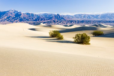 soba borusu, kum tepeleri, ölüm Vadisi Milli Parkı, California'dan kuyuları