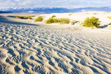 soba borusu, kum tepeleri, ölüm Vadisi Milli Parkı, California'dan kuyuları