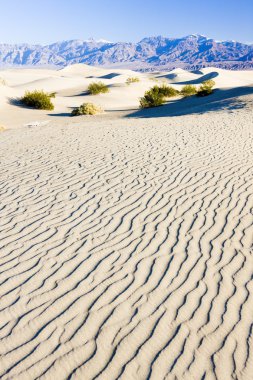 soba borusu, kum tepeleri, ölüm Vadisi Milli Parkı, California'dan kuyuları