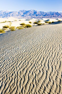 soba borusu, kum tepeleri, ölüm Vadisi Milli Parkı, California'dan kuyuları