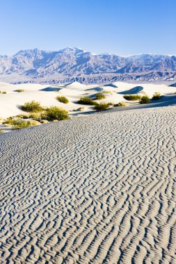 soba borusu, kum tepeleri, ölüm Vadisi Milli Parkı, California'dan kuyuları