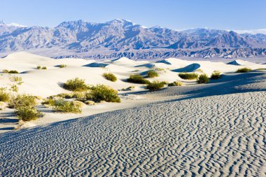 soba borusu, kum tepeleri, ölüm Vadisi Milli Parkı, California'dan kuyuları