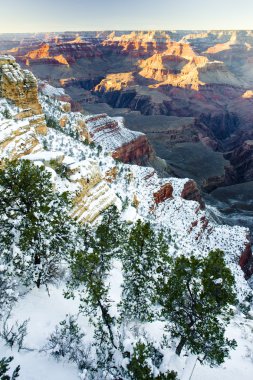 Grand Canyon Ulusal Parkı, Arizona, ABD