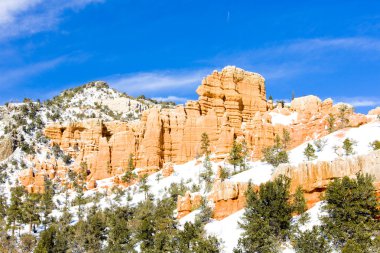 Bryce Canyon Ulusal Parkı, Utah, ABD