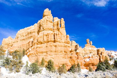 Bryce Canyon Ulusal Parkı, Utah, ABD