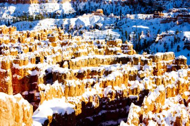 Bryce Canyon Ulusal Parkı, Utah, ABD