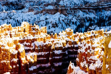 Bryce Canyon Ulusal Parkı, Utah, ABD