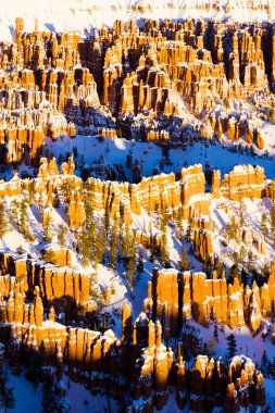 Bryce Canyon Ulusal Parkı, Utah, ABD