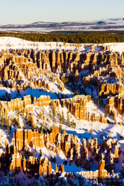 Bryce Canyon Ulusal Parkı, Utah, ABD