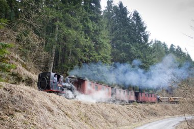 Buhar treni, Ciernohronska Demiryolu, Slovakya