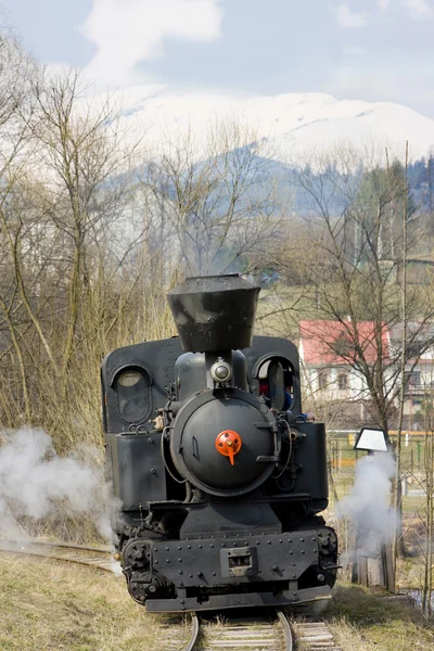 Último dia de serviço da locomotiva a vapor CKD n. 5 (1.4.2008), Cie — Fotografia de Stock