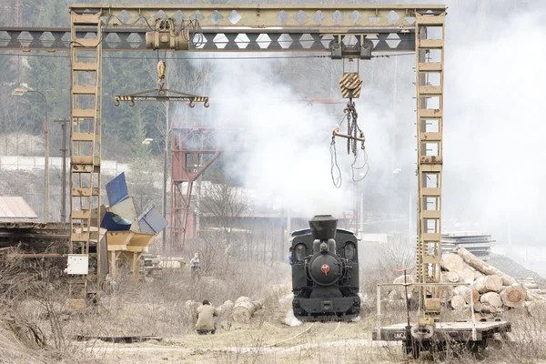 Letzter Betriebstag der ckd-Dampflokomotive Nr. 5 (1.4.2008), cie — Stockfoto