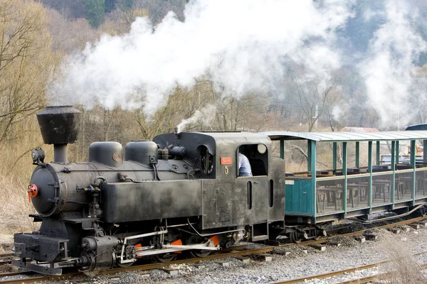 Letzter Betriebstag der ckd-Dampflokomotive Nr. 5 (1.4.2008), cie — Stockfoto