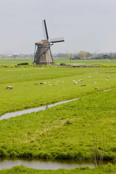 Větrný mlýn u steefkerk, Nizozemsko — Stock fotografie