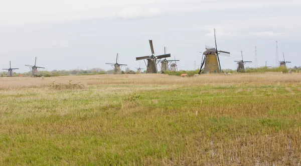 Вітряні млини, Кіндердайк, Нідерланди — стокове фото