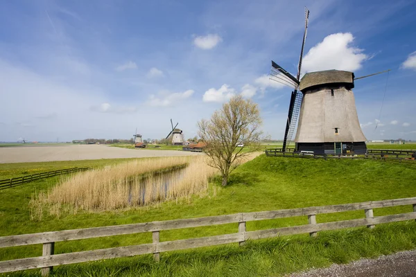 Alkmaar, Hollanda yakınında yel değirmenleri — Stok fotoğraf