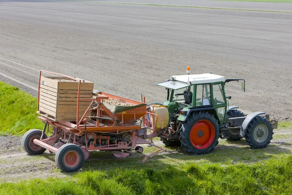 Трактор на поле, Нидерланды — стоковое фото