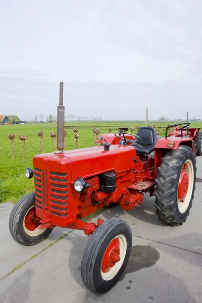 Traktor, noord-holland, Nederländerna — Stockfoto