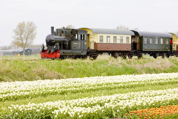 Comboio a vapor, Hoorn - Medemblik, Noord Holland, Países Baixos — Fotografia de Stock