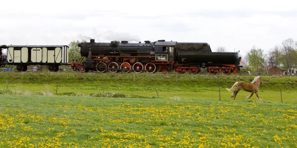 Tren de vapor, Veendam - Stadskanaal, Países Bajos — Foto de Stock