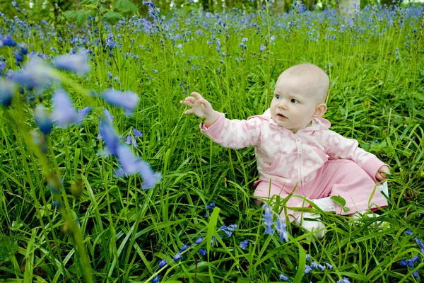 Menina sentada no prado — Fotografia de Stock