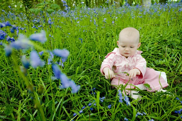 Baby girl sitting on meadow — Stock Photo, Image