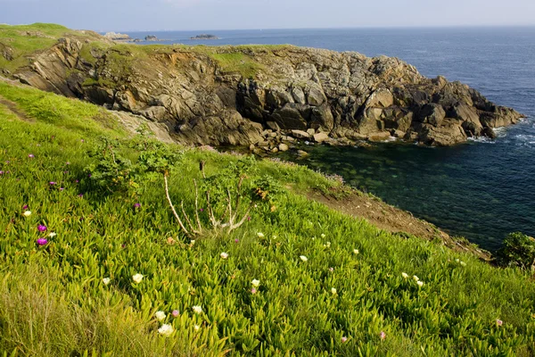 Coast, Pointe de Saint Mahemu, Brittany, France — стоковое фото