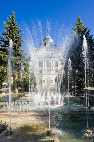 Театр им. Ю. Бородаца с фонтаном, Кошице, Словакия — стоковое фото