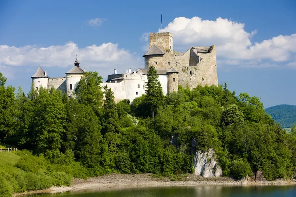 Замок Нєдзица, Польща — стокове фото