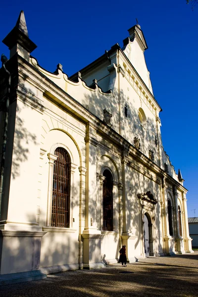 Katedral, zamosc, Polonya — Stok fotoğraf