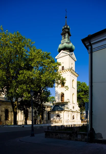 ザモシチ、ポーランドの教会 — ストック写真