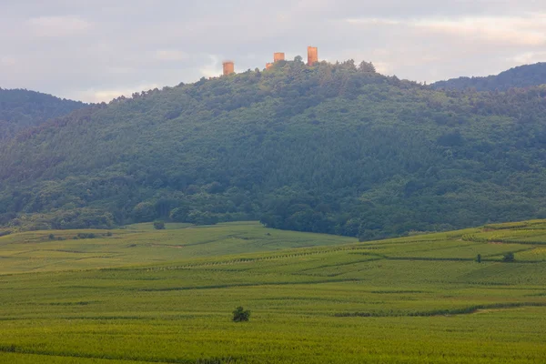 Ruiny hradu a vinohradům poblíž eguishem, Alsasko, Francie — Stock fotografie