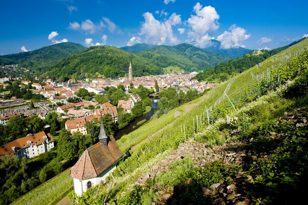 Grand cru vinhedo e Capela de St. Urban, Thann, Alsácia, Franc — Fotografia de Stock