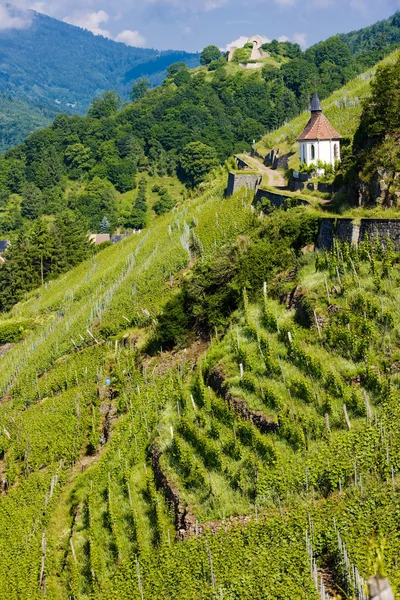 Grand cru vineyard and Chapel of St. Urban, Thann, Alsace, France — Stock Photo, Image