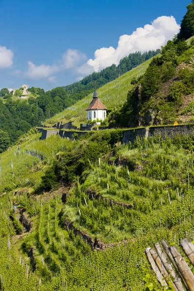 Grand cru vineyard and Chapel of St. Urban, Thann, Alsace, France — Stock Photo, Image