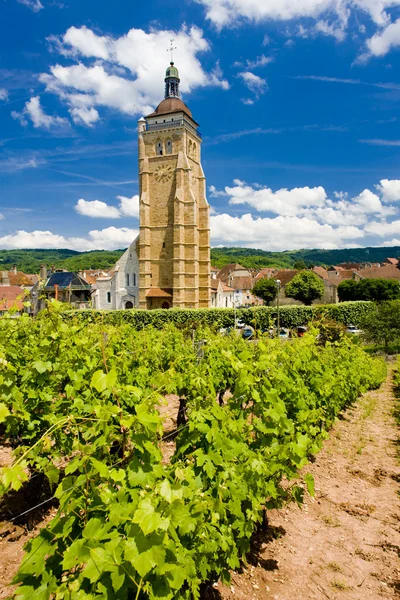Grand cru winnicy i kaplica st. urban, thann, Alzacji, Francja — Zdjęcie stockowe