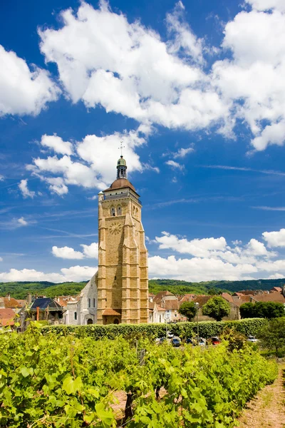 Grand cru vinic a kapli svatého městské, thann, Alsasko, Francie — Stock fotografie