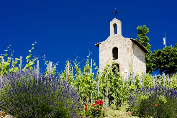 Grand Cru κρασιά του αμπελώνα και το εκκλησάκι του Αγίου Χριστοφόρου, l'hermitage, rhone-alpes, Γαλλία — Φωτογραφία Αρχείου