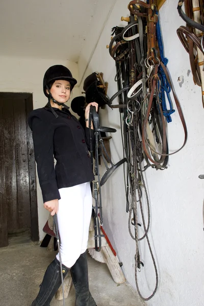 Equestrian in a stable — Stock Photo, Image