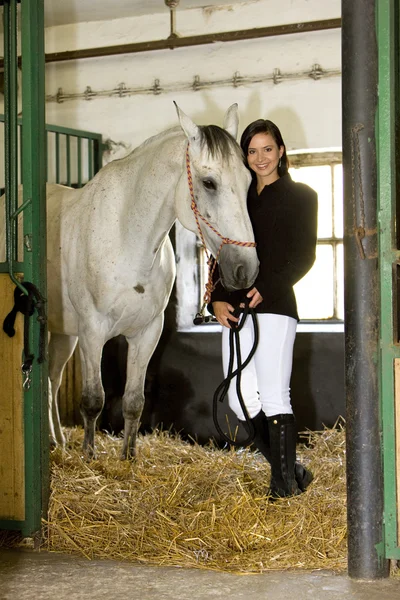 馬と馬の安定した乗馬 — ストック写真