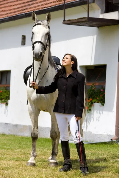 Equestre com cavalo — Fotografia de Stock