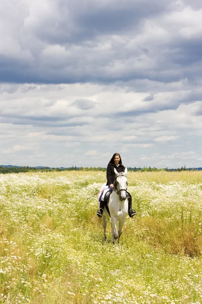 Equestre a cavalo — Fotografia de Stock
