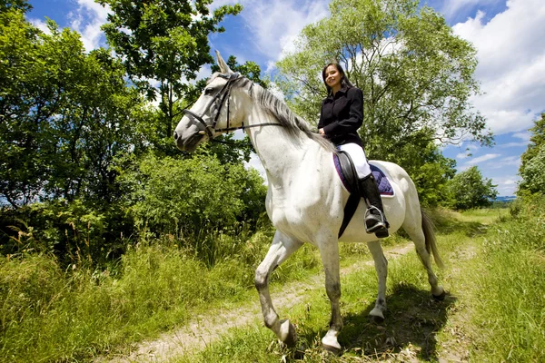 Кінний спорт на коні — стокове фото