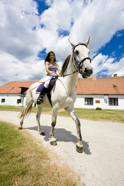 ม้าขี่ม้า — ภาพถ่ายสต็อก