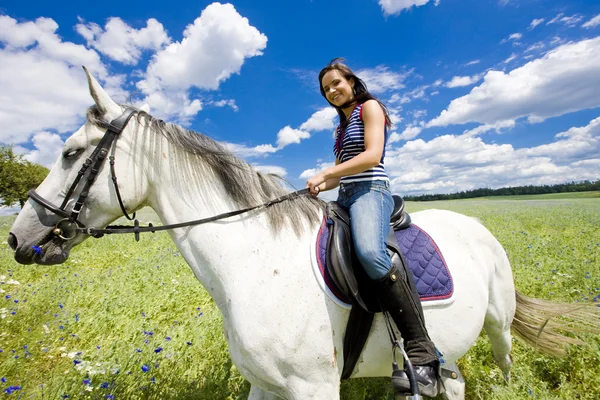 Equitazione a cavallo — Foto Stock