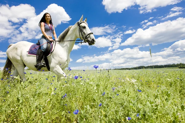 Equitazione a cavallo — Foto Stock