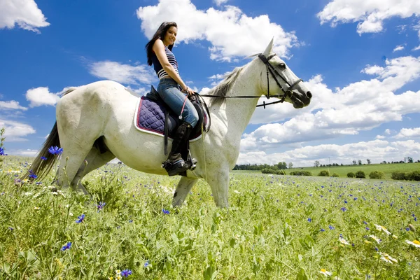Jezdectví na koni — Stock fotografie