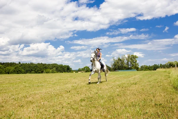 Кінний спорт на коні — стокове фото