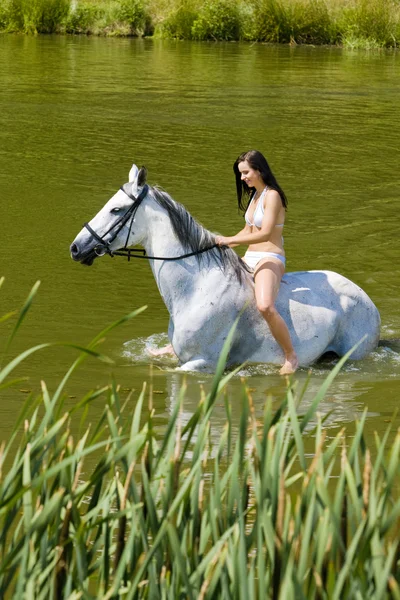 Equitación a caballo a través del agua — Foto de Stock